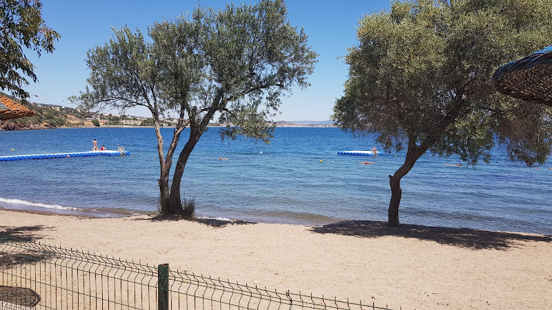 flamingo-beach-3