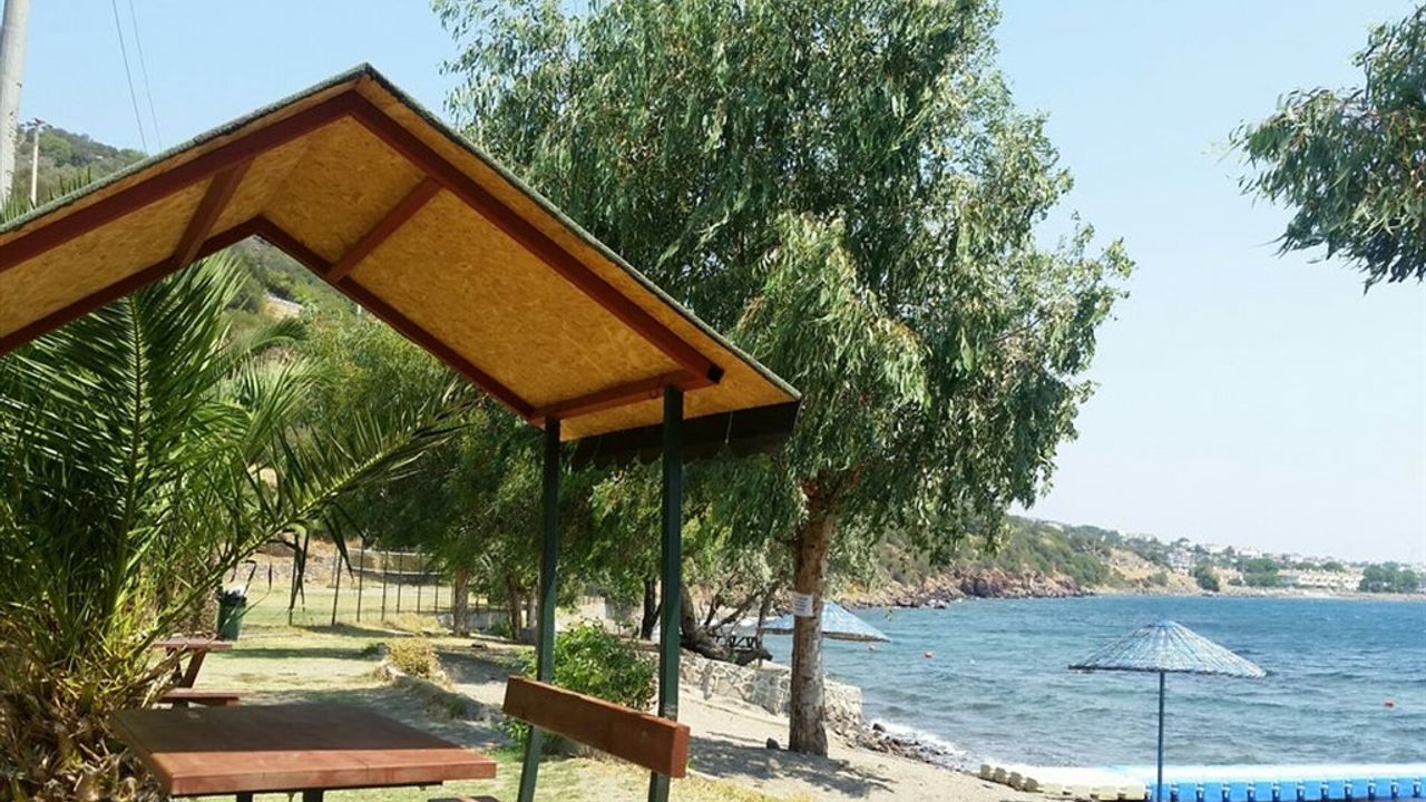 flamingo-beach