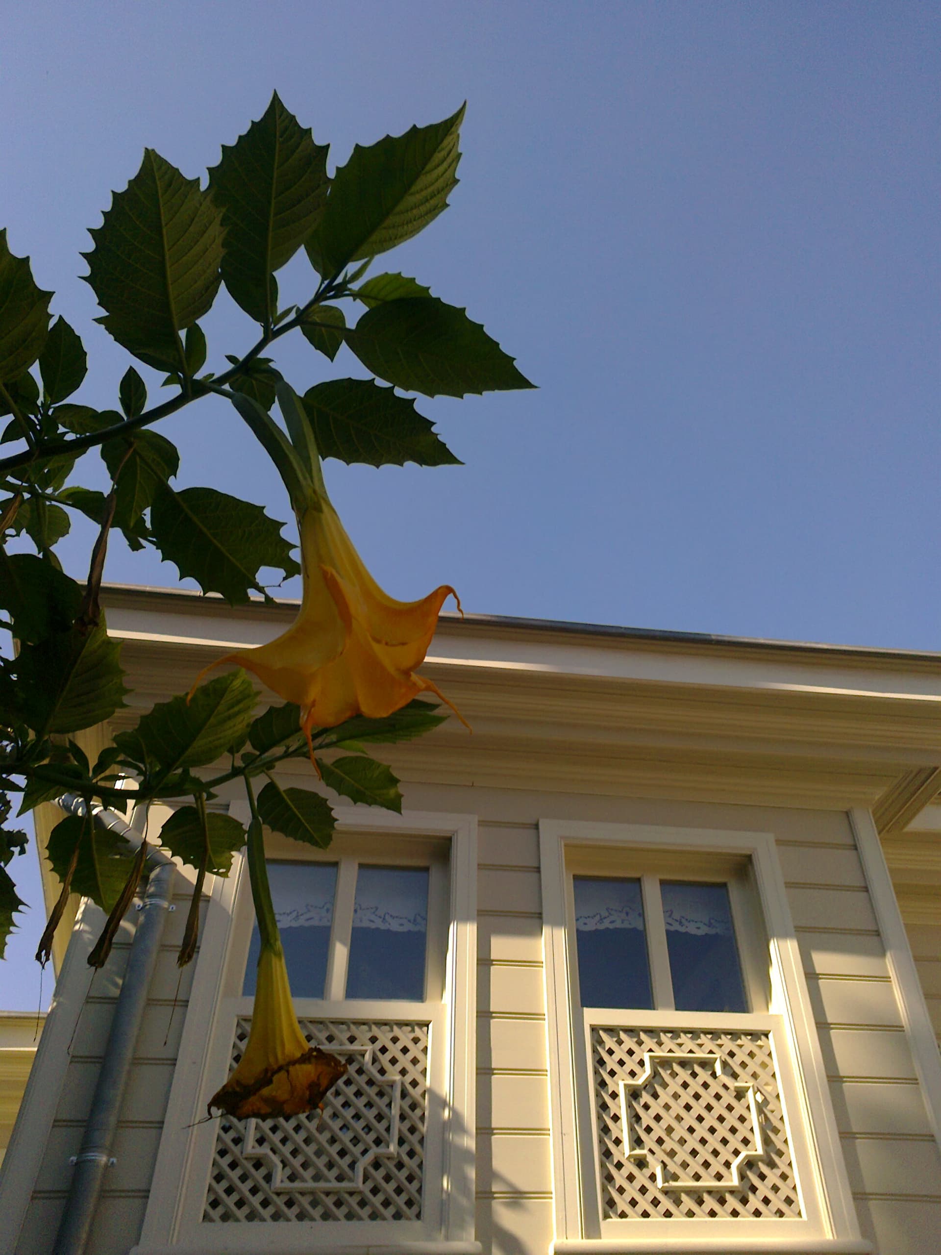 Fotoğraf0749