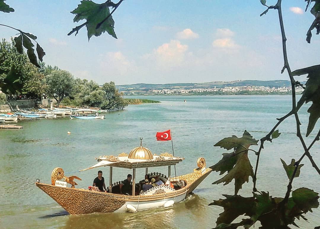 GÖLYAZI 11