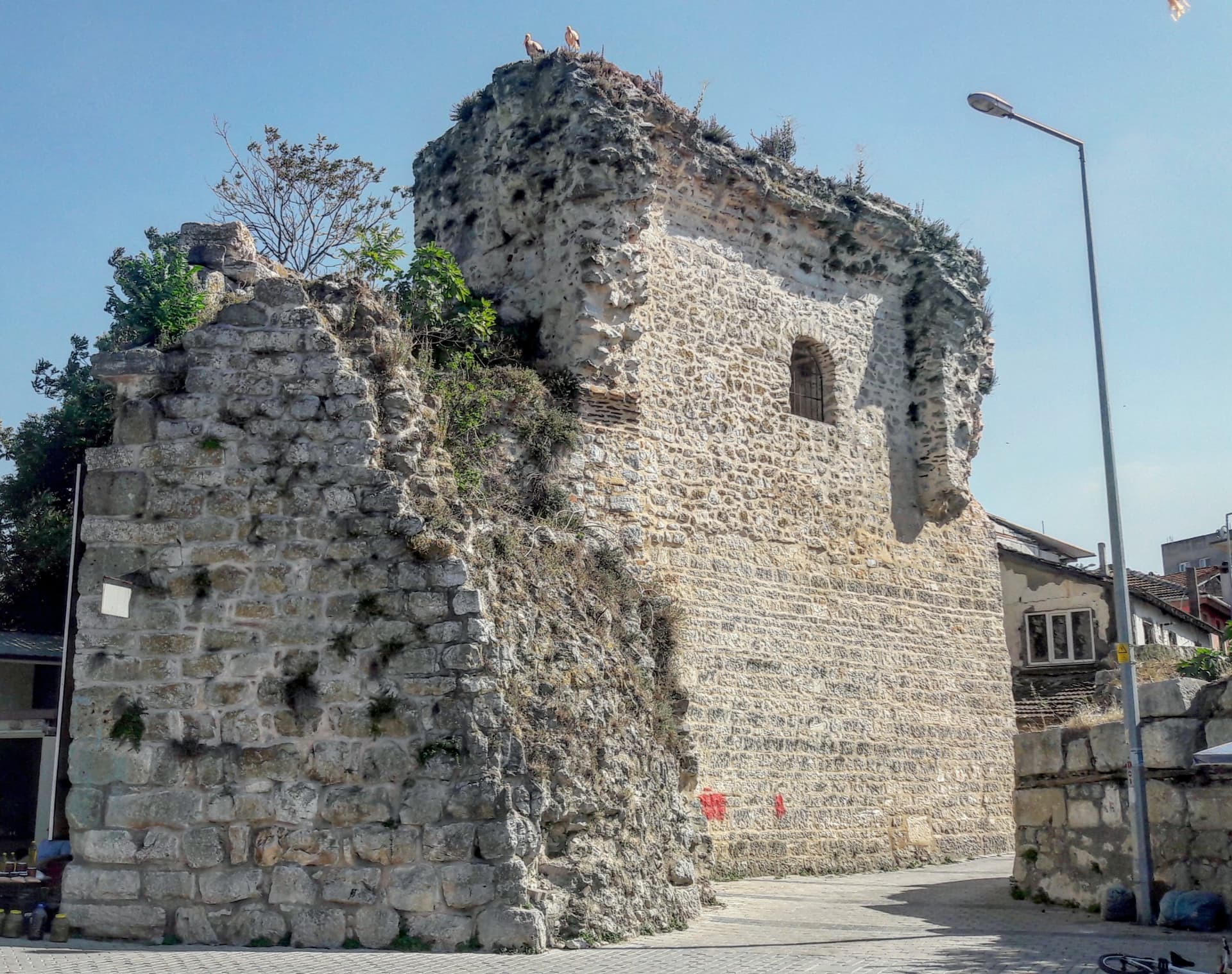 GÖLYAZI 13