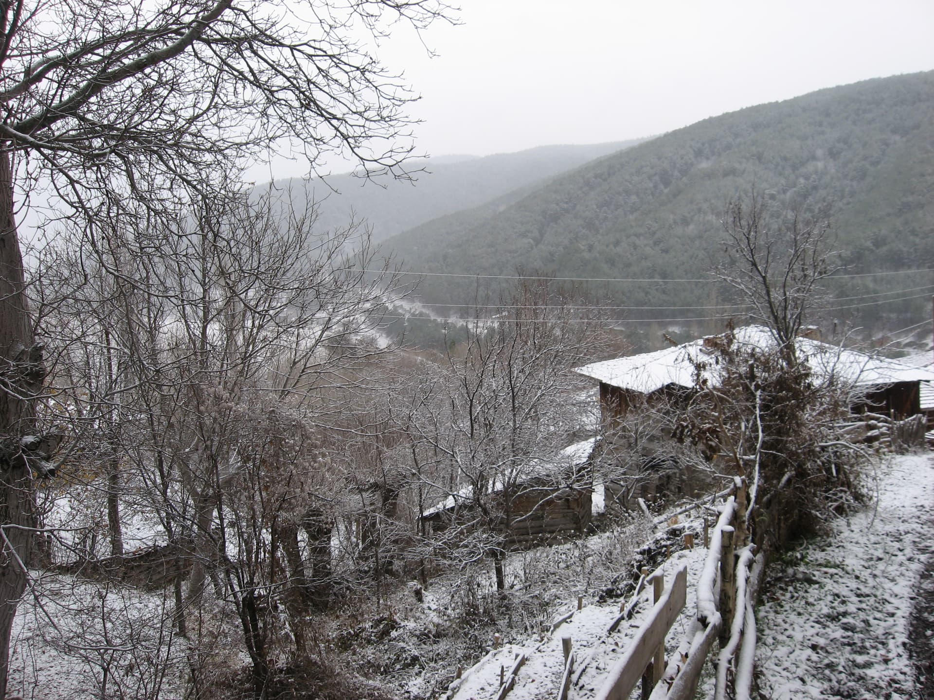 ilgazdan resimler (134)