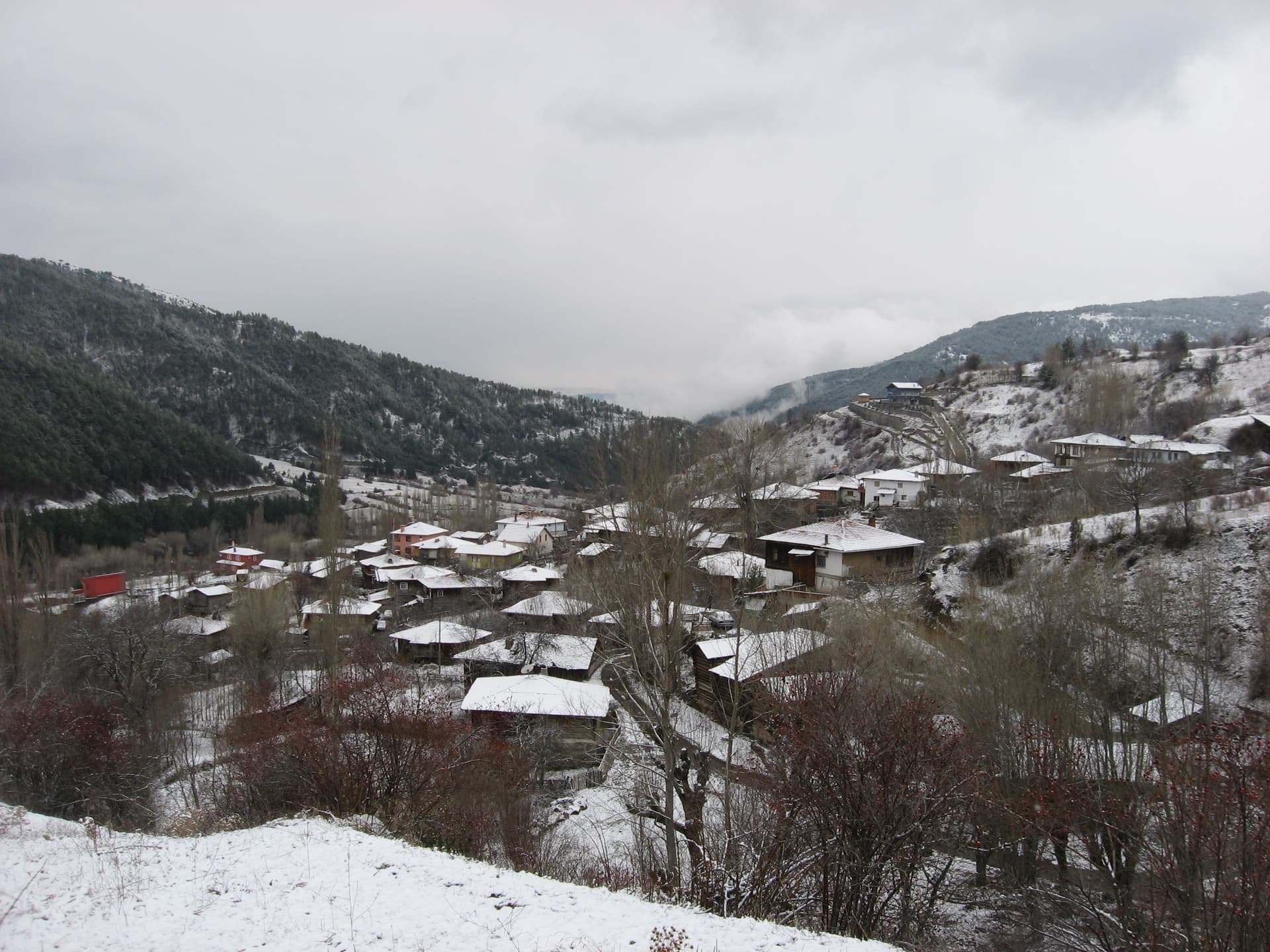 ilgazdan resimler (141)