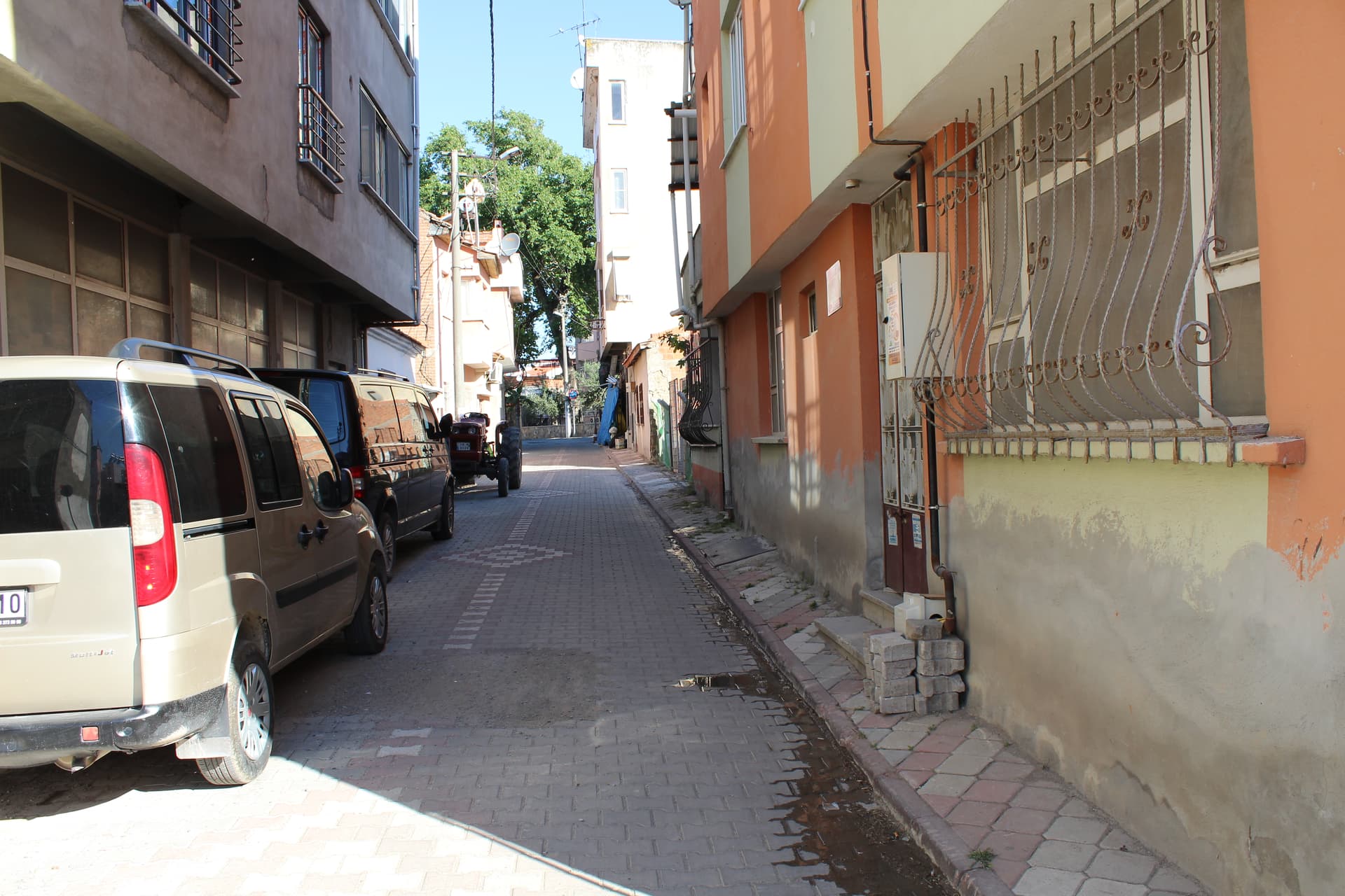 ilk resim 250