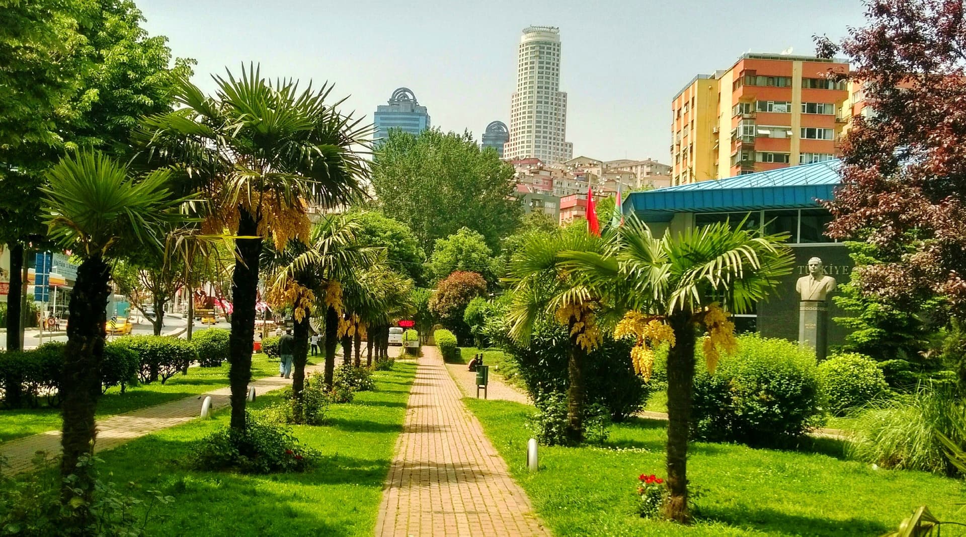 IMAG0156_1_1_1