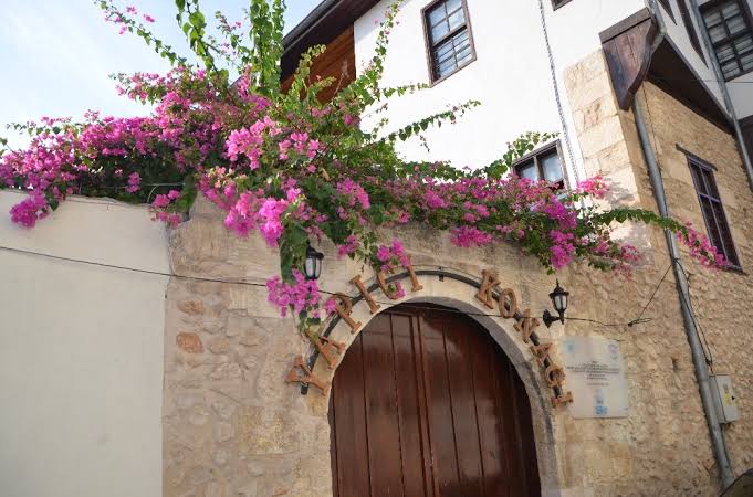 images (1)