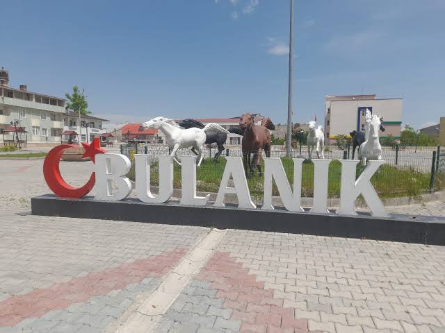 images (13)