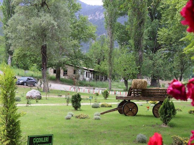 images (13)