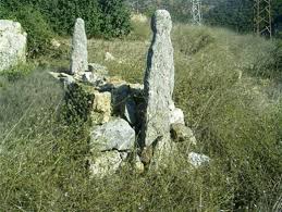 images (14)