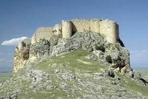 images (14)