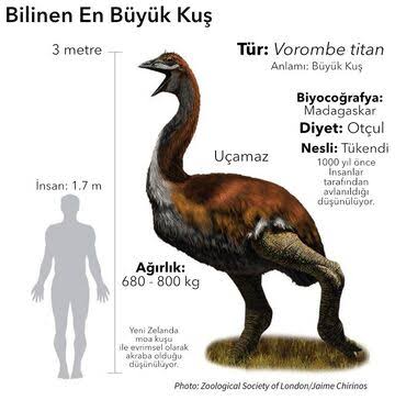 images (17)