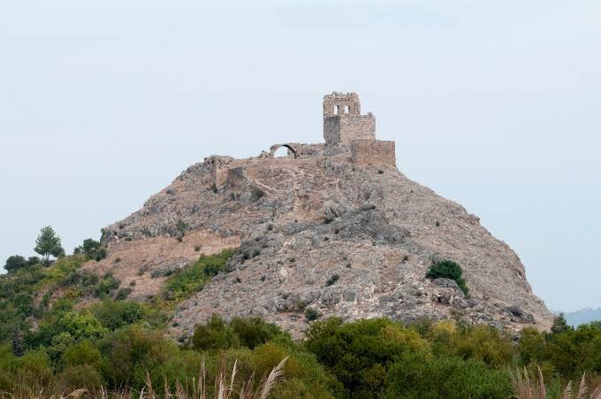images (20)