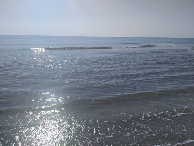 images (20)