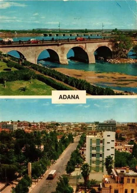 images (20).jpeg