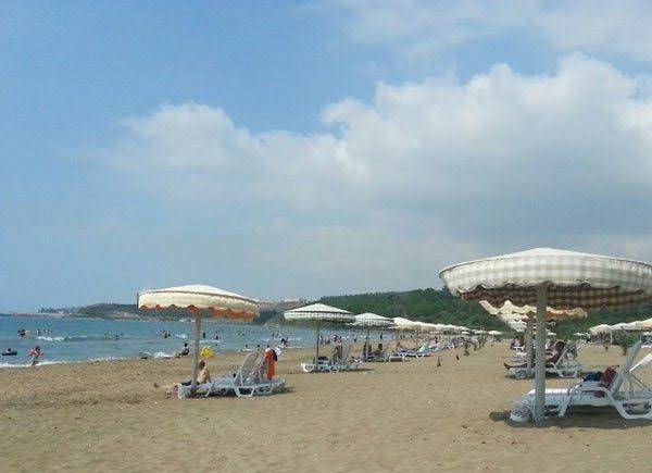 images - 2024-02-20T194201.574