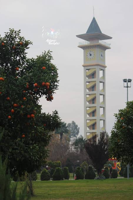 images - 2024-08-28T143747.924