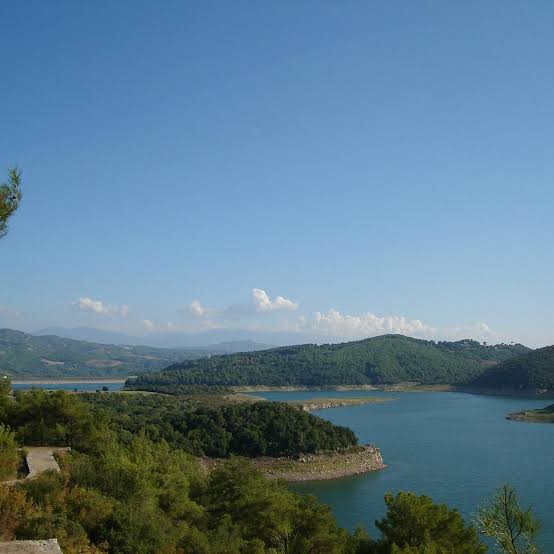 images (22)