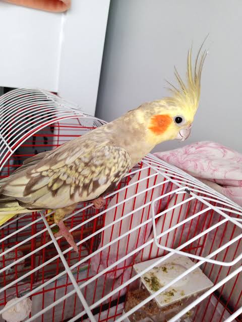 images (27)