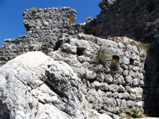 images (29)