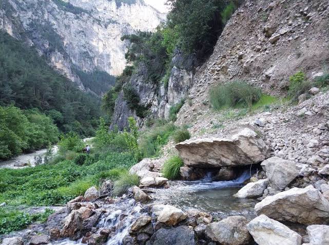images (29)