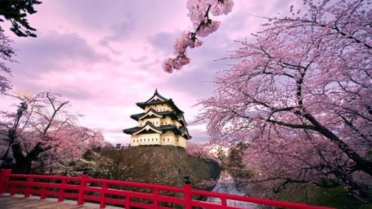 images (35)