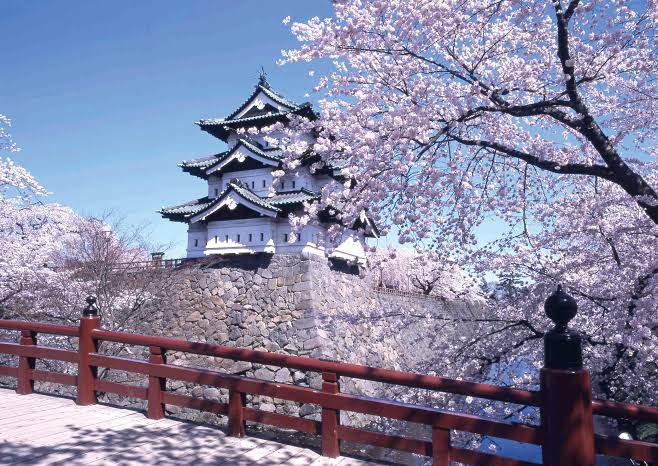 images (36)