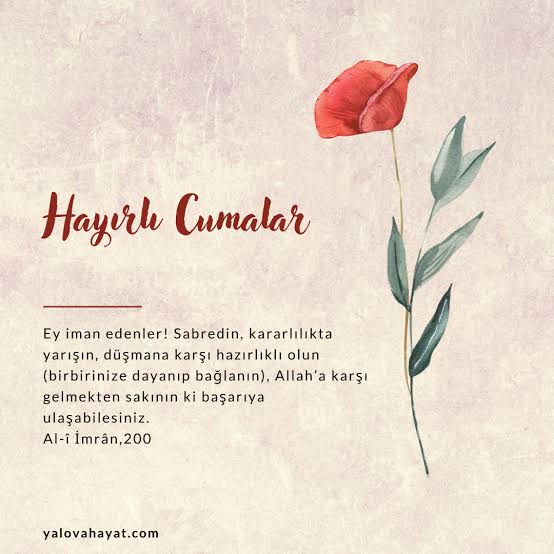 images (37)