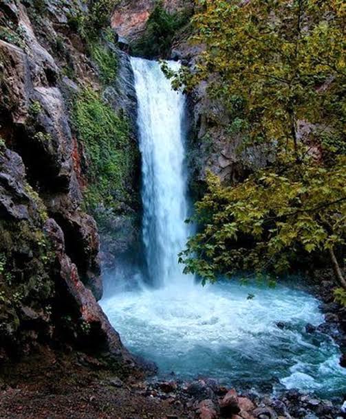 images (39)
