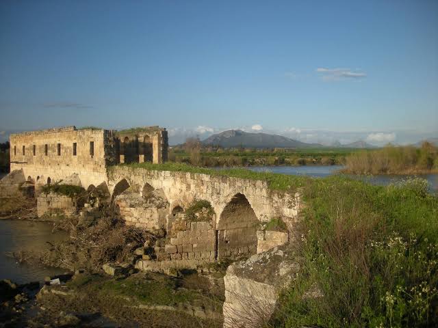 images (40)