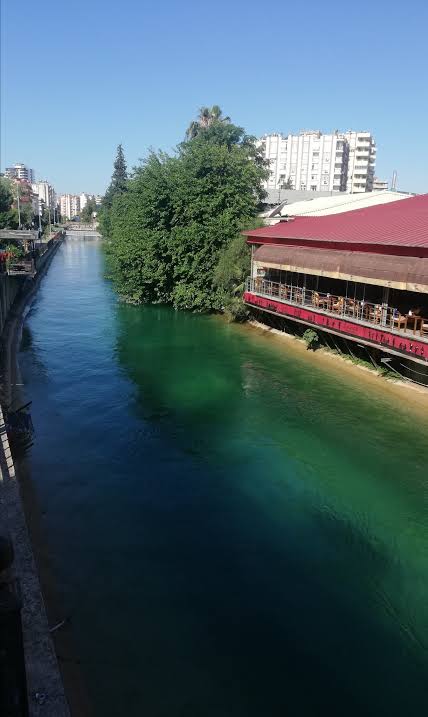 images (46)
