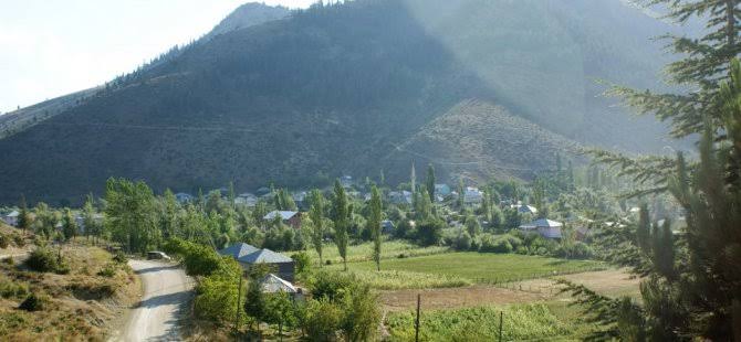 images (49)