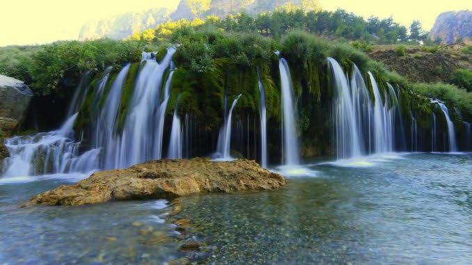 images (50)
