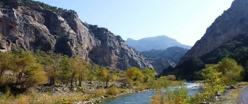 images (6)