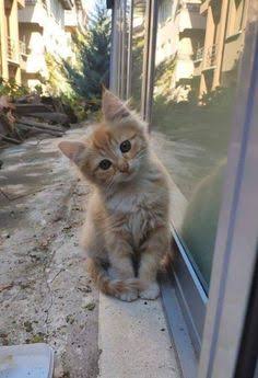 images (69)