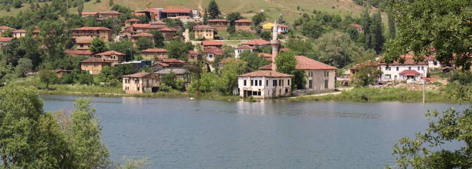 images (7)