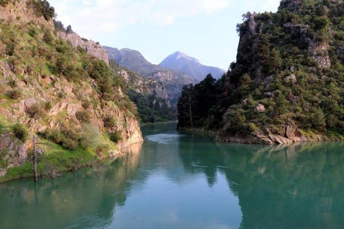 images (79)