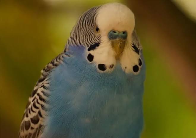 images (88)