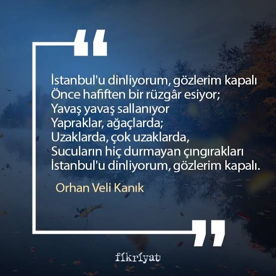 images (95)