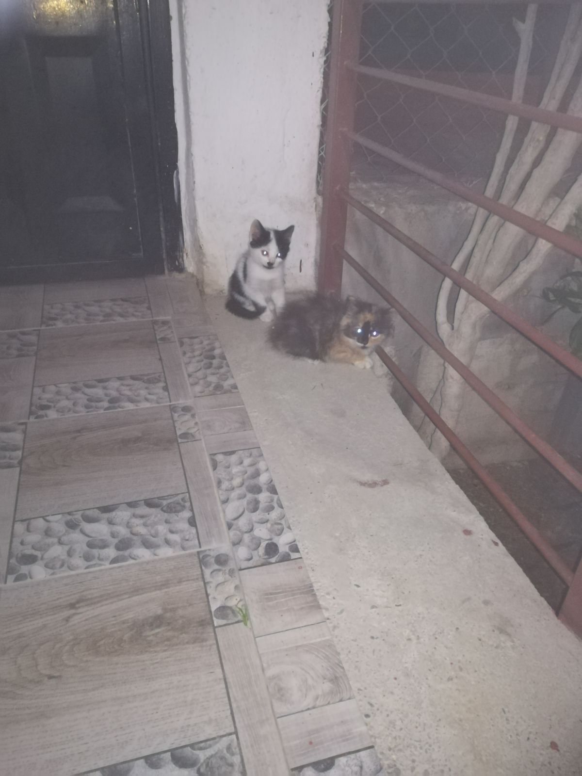 IMG-20180510-WA0038
