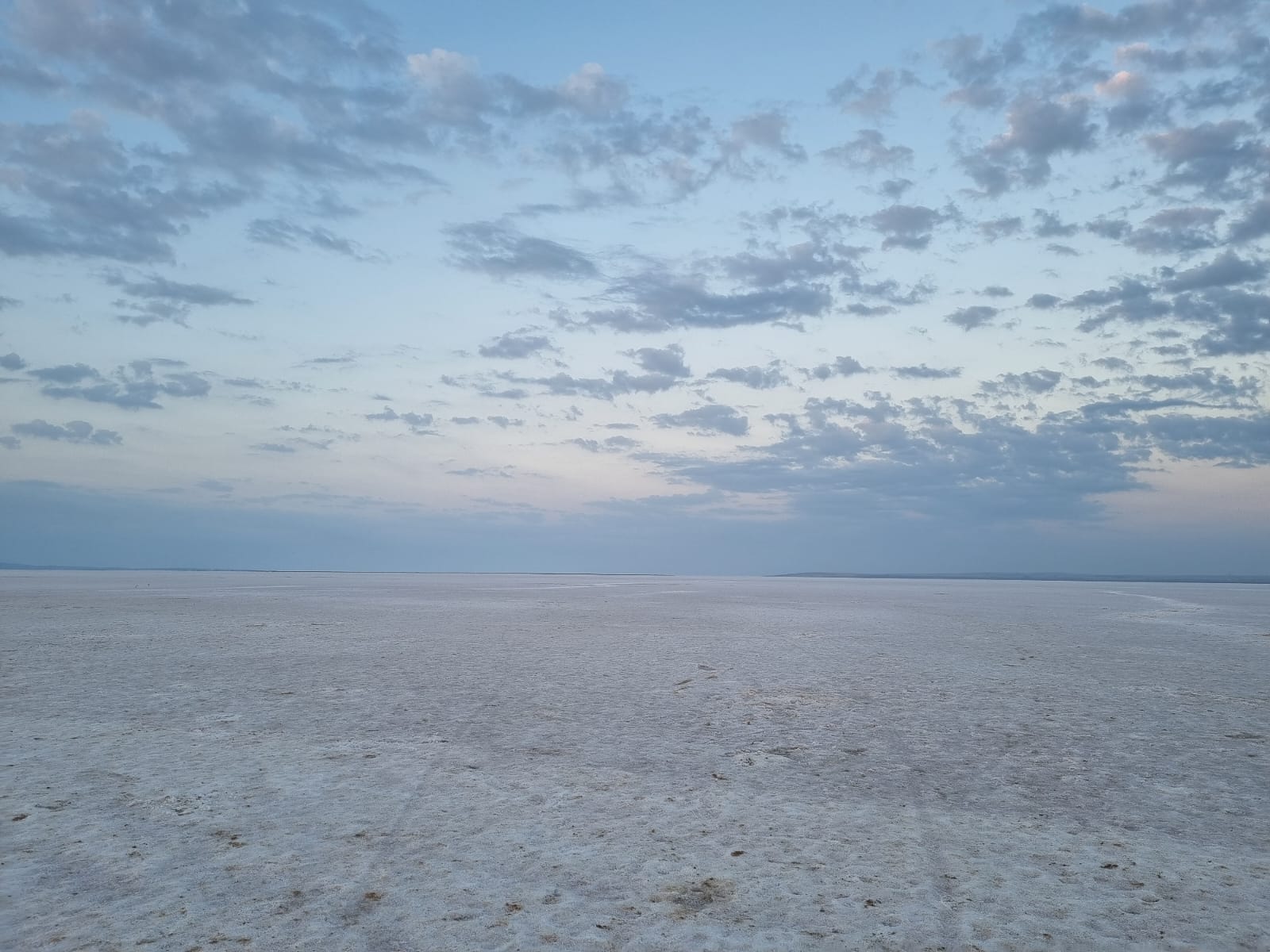 IMG-20230724-WA0008
