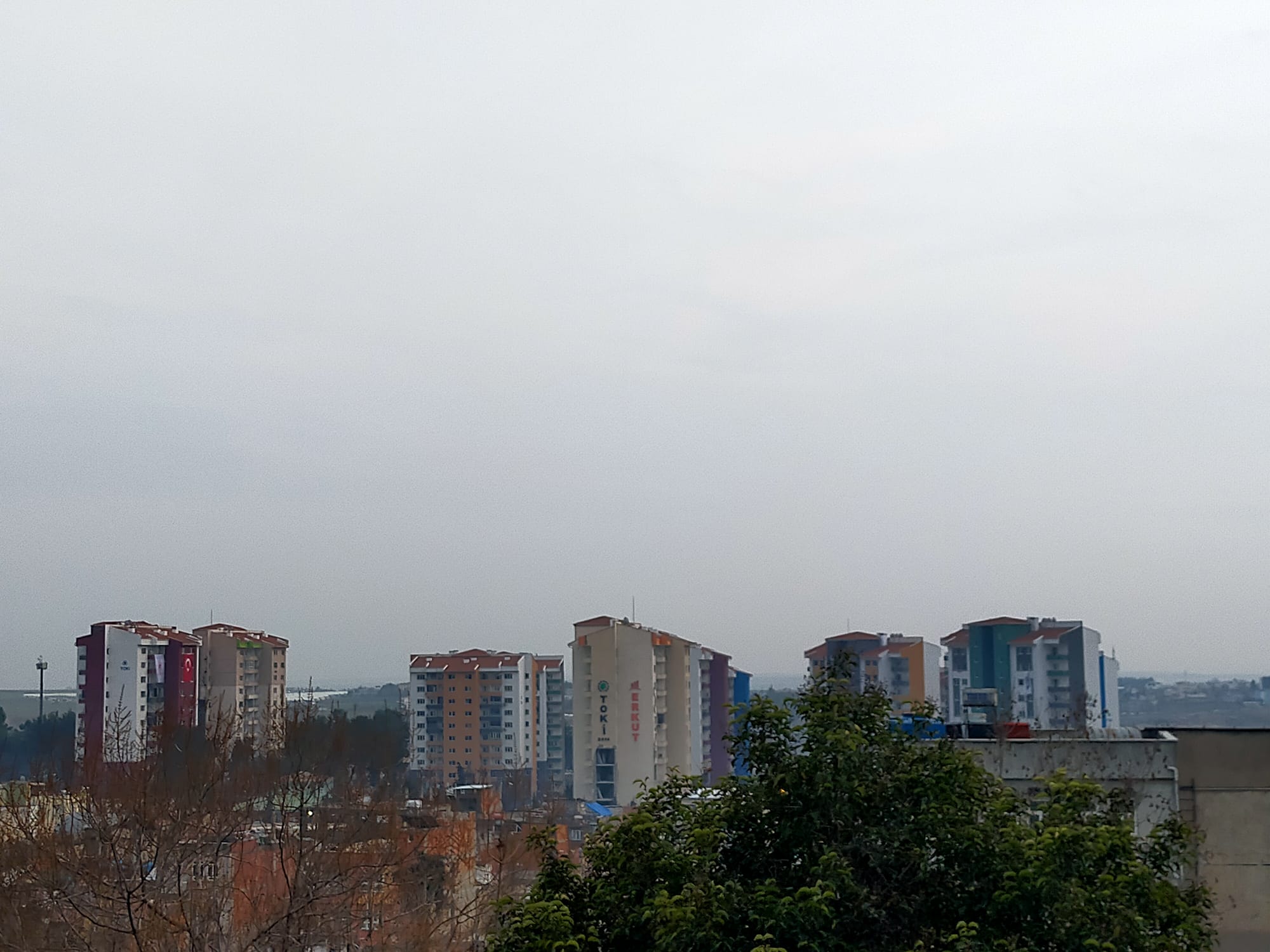 IMG-20240210-WA0000.jpg