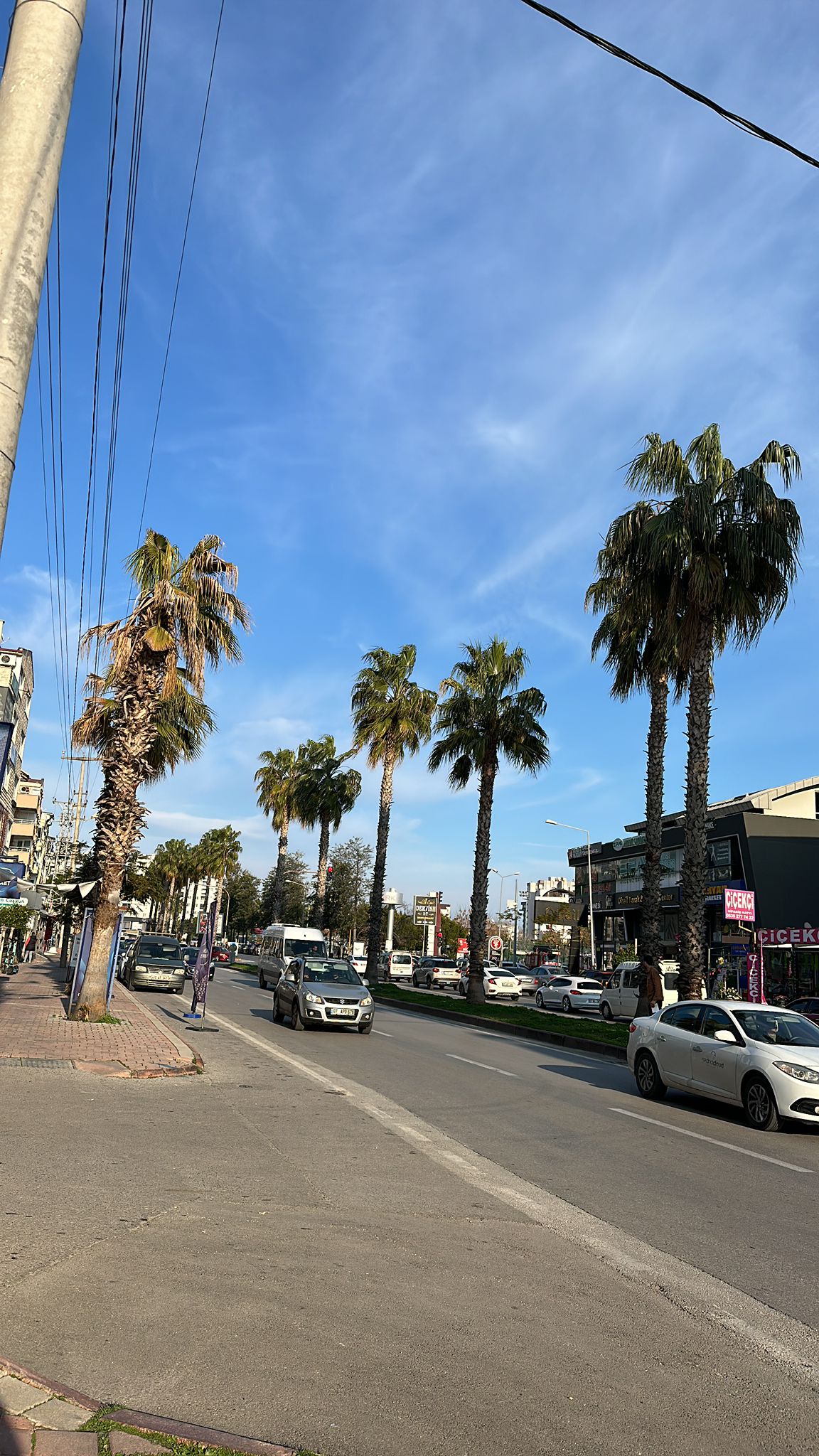 IMG-20240218-WA0039