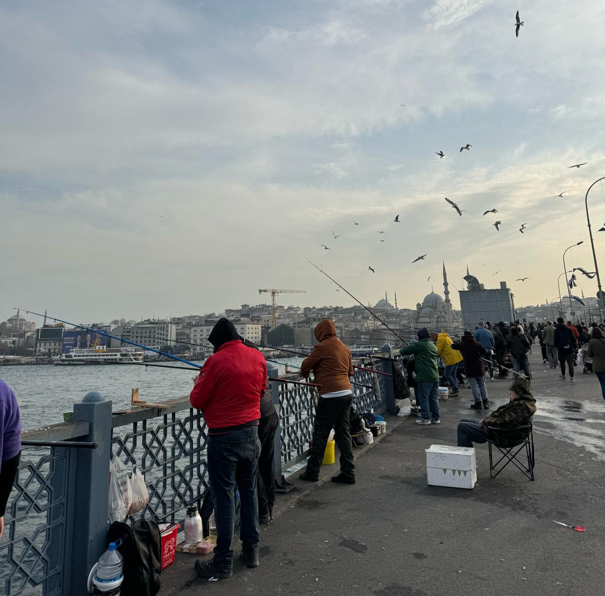 IMG-20240309-WA0012