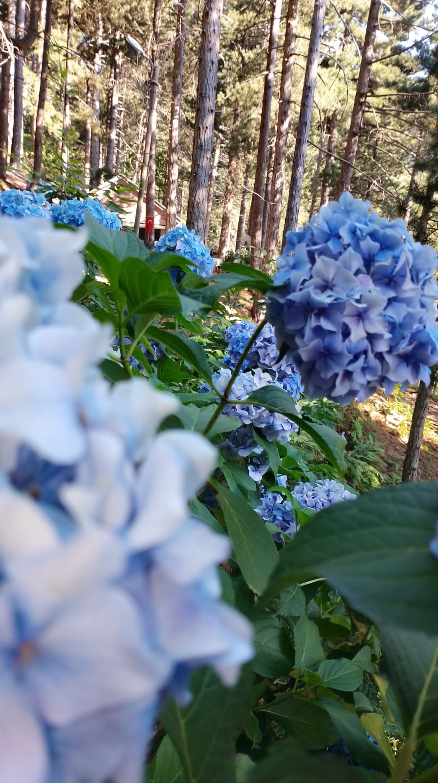 IMG-20240313-WA0006