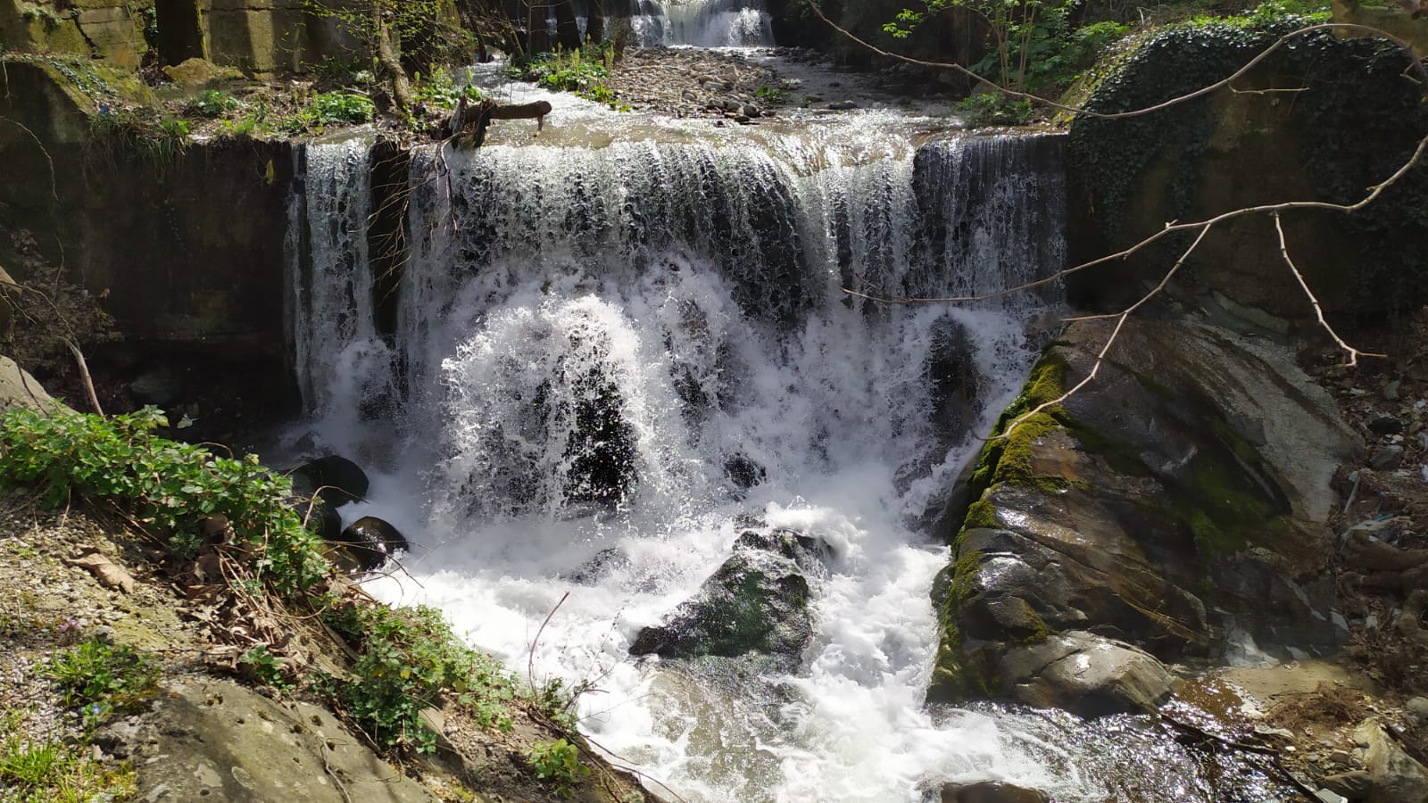 IMG-20240330-WA0008