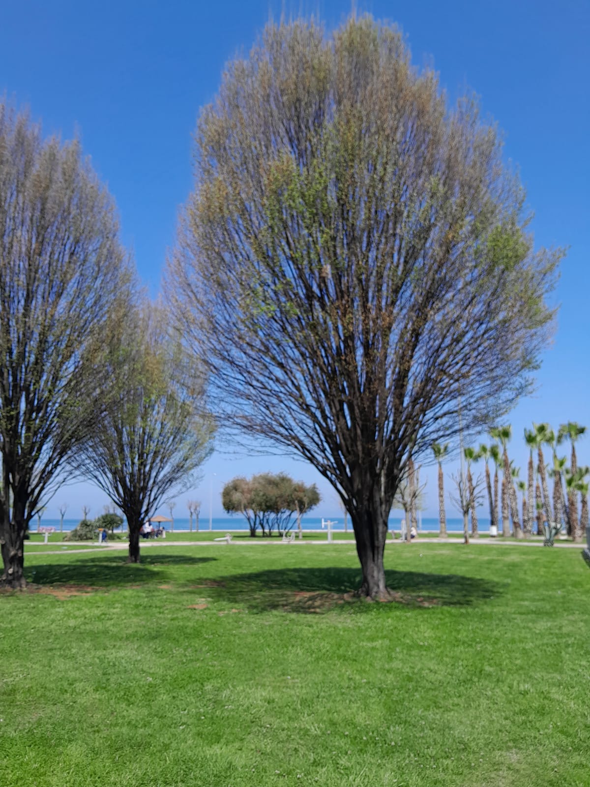 IMG-20240411-WA0001