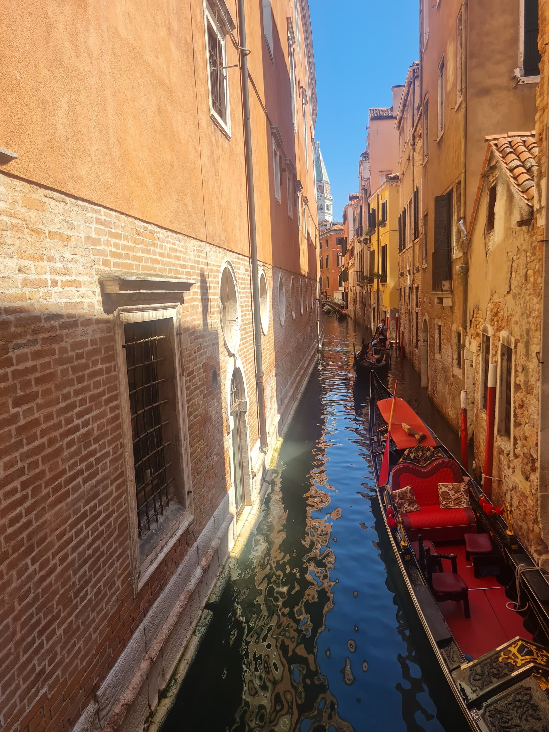 IMG-20240726-WA0393