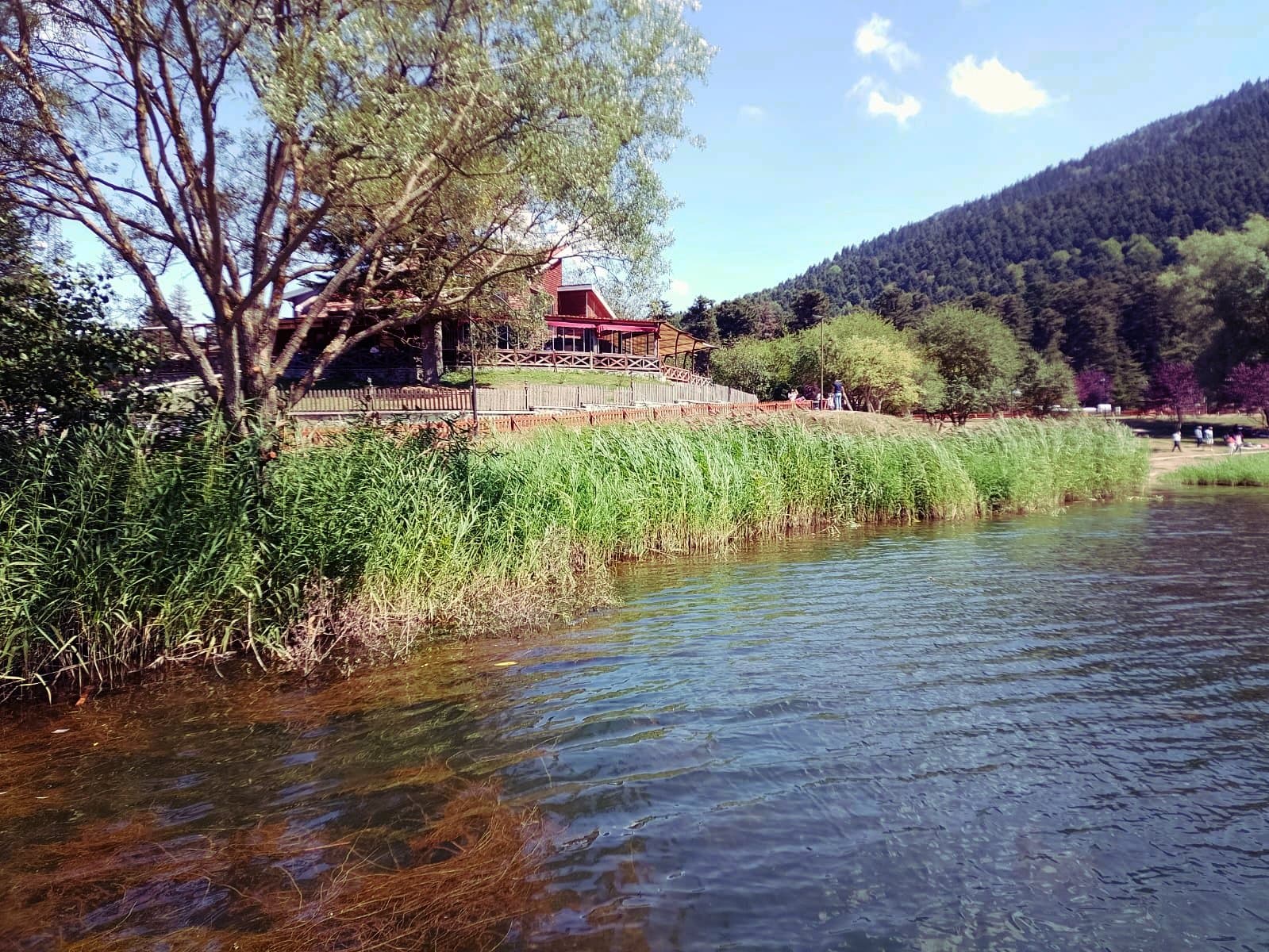 IMG-20240909-WA0011