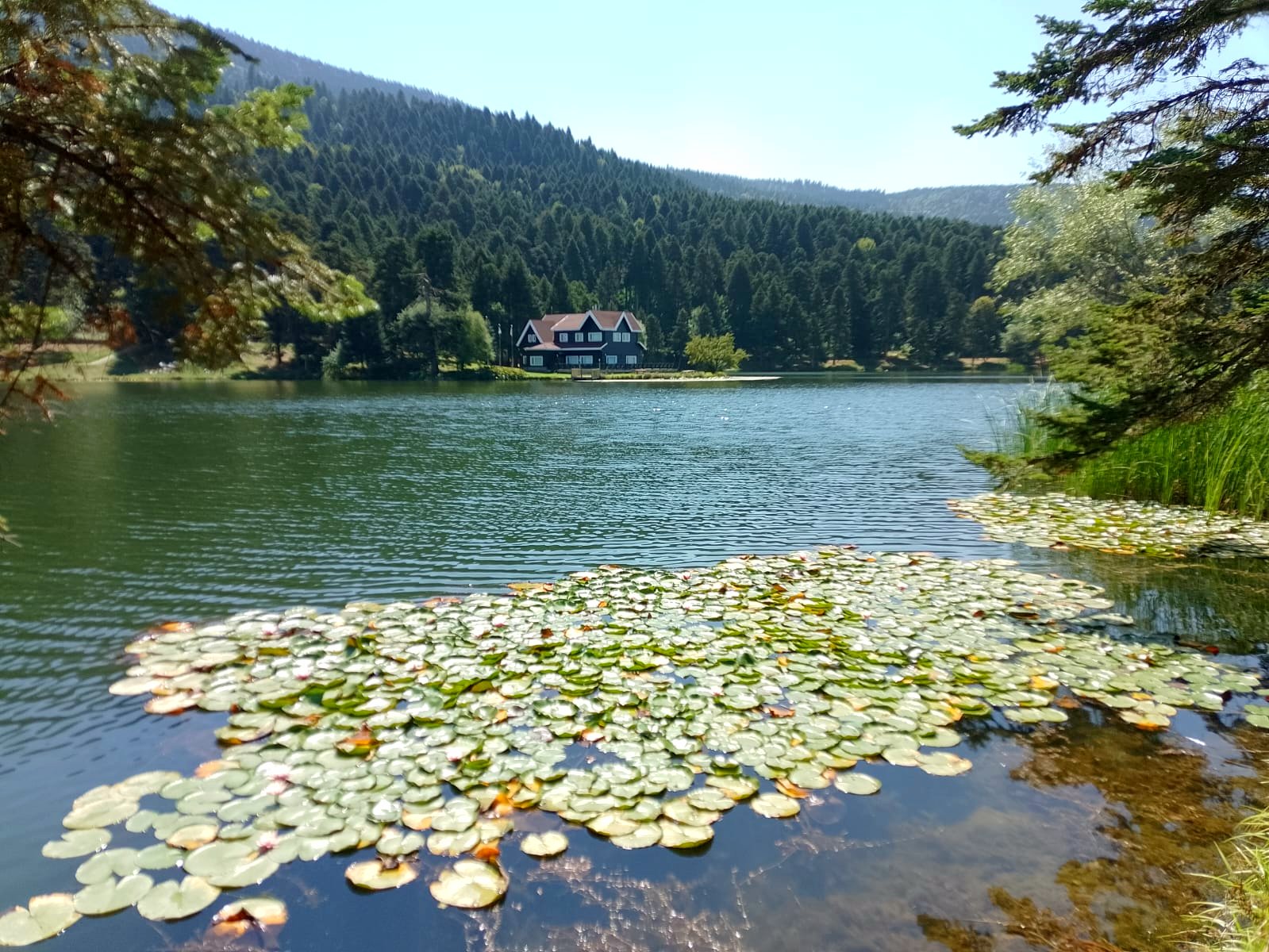 IMG-20240909-WA0017
