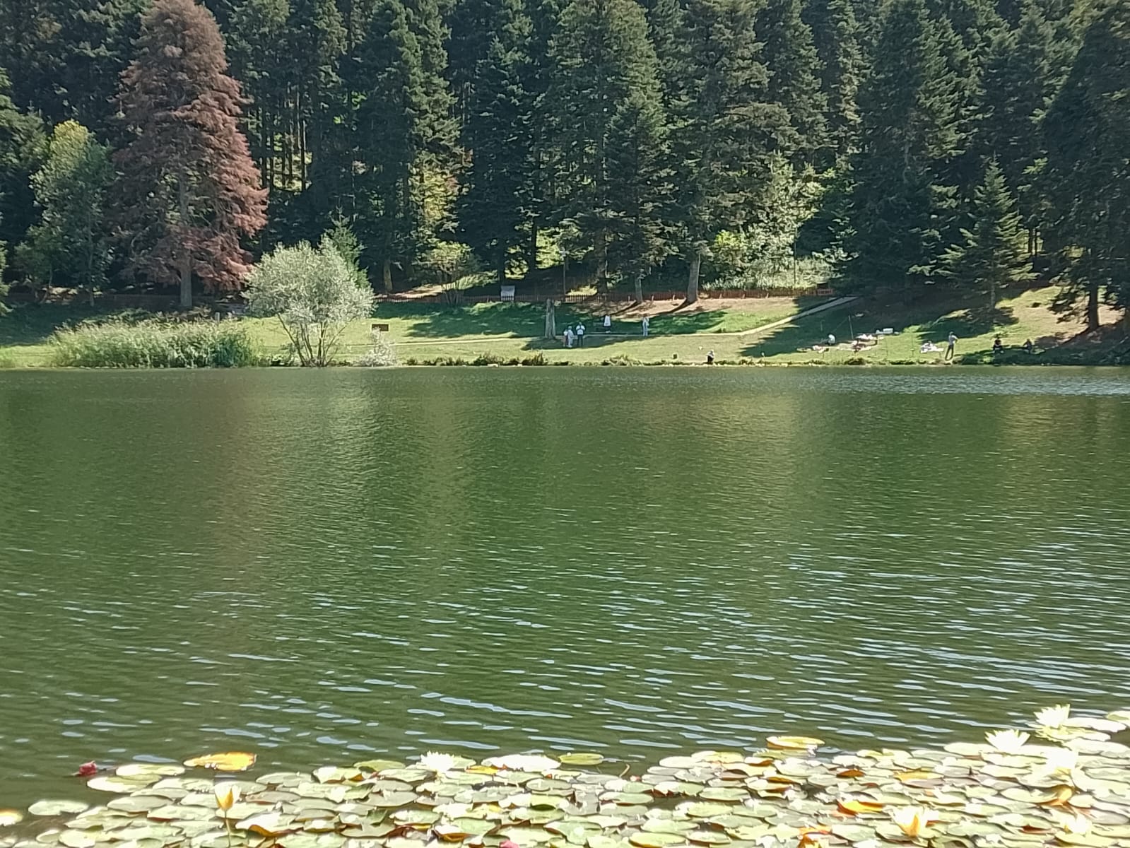 IMG-20240909-WA0022